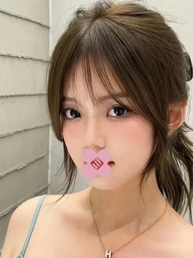 mái kiểu pháp 24