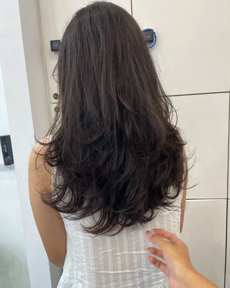 layer shaggy 73 nữ 23