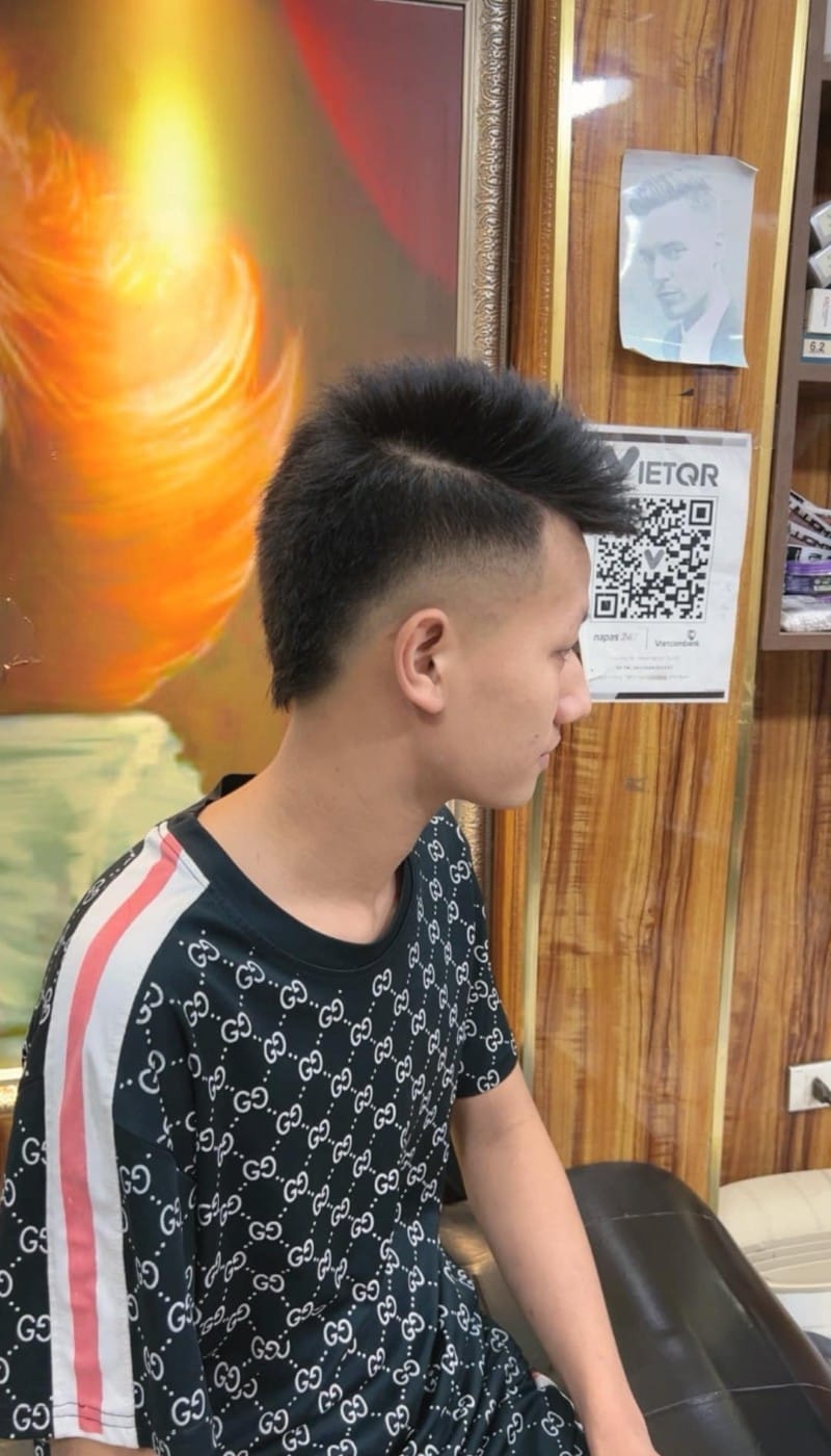 mohican gáy nhọn kẻ vạch 25