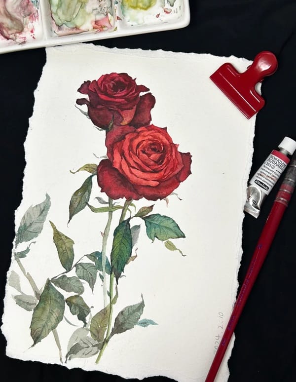 tranh vẽ hoa hồng 26 tranh vẽ hoa hồng 26