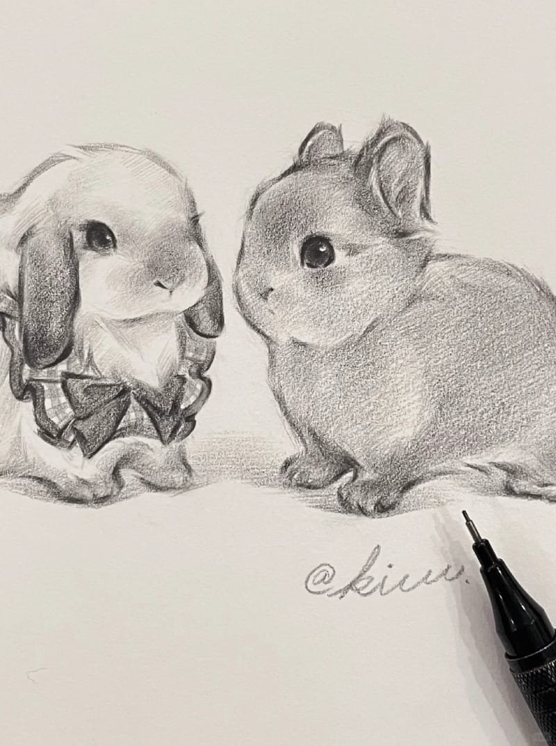 vẽ tranh con thỏ 14