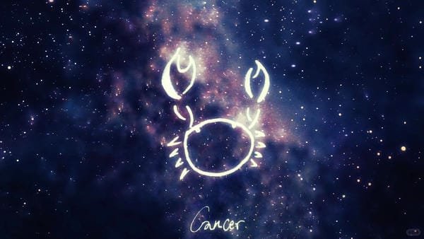 12 cung hoàng đạo anime (21)