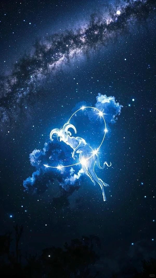 12 cung hoàng đạo anime (26)