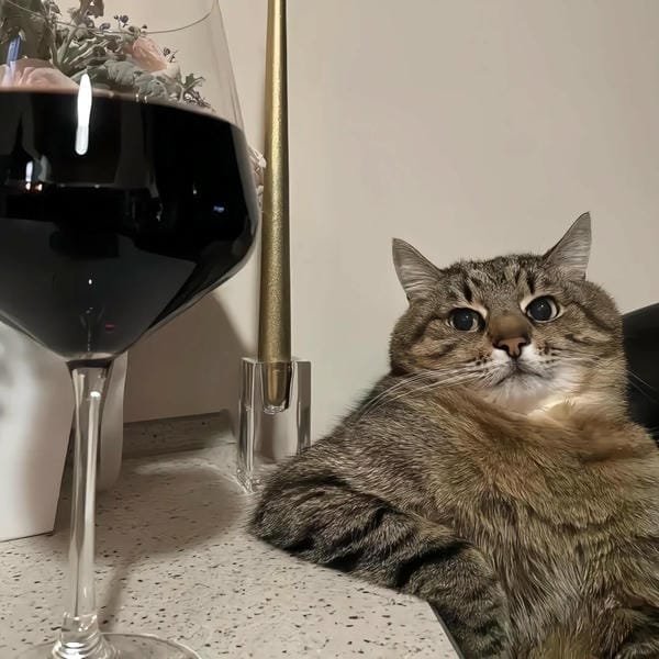 ảnh anime vô tri (16)