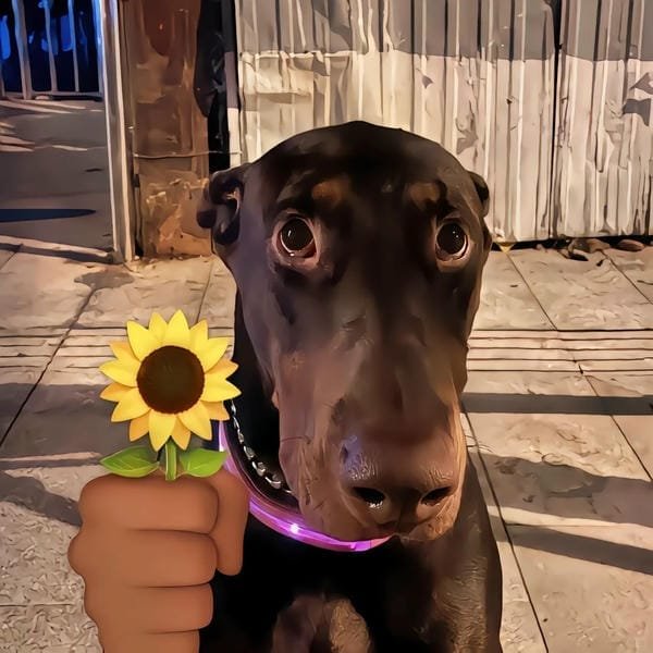 ảnh anime vô tri (19)