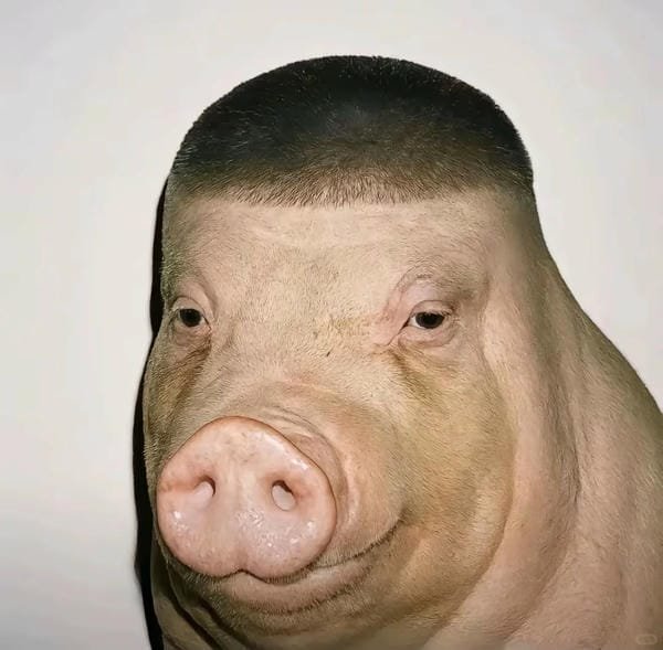 ảnh anime vô tri (2)