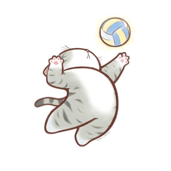 bóng chuyền anime (20)