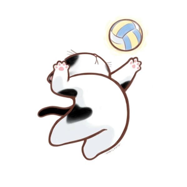 bóng chuyền anime (21)