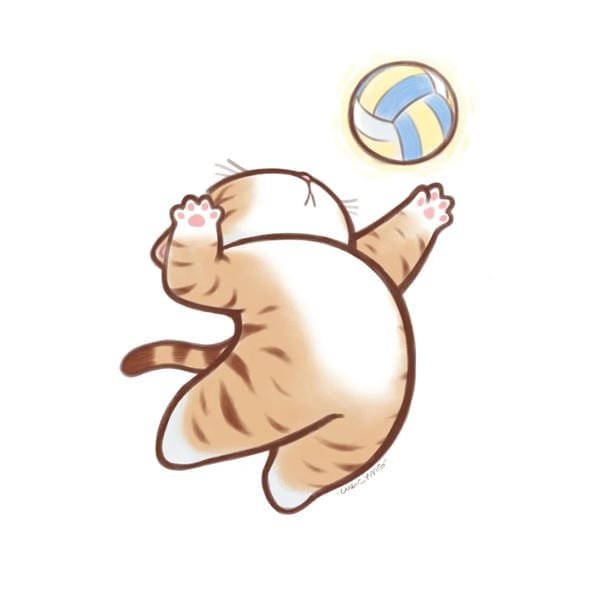 bóng chuyền anime (22)