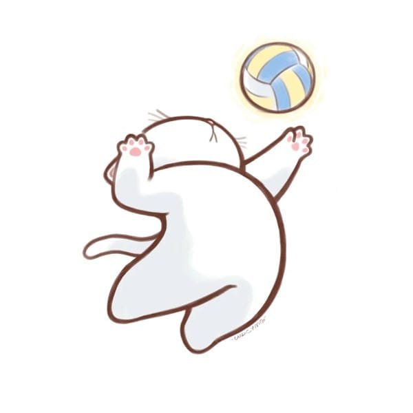 bóng chuyền anime (23)