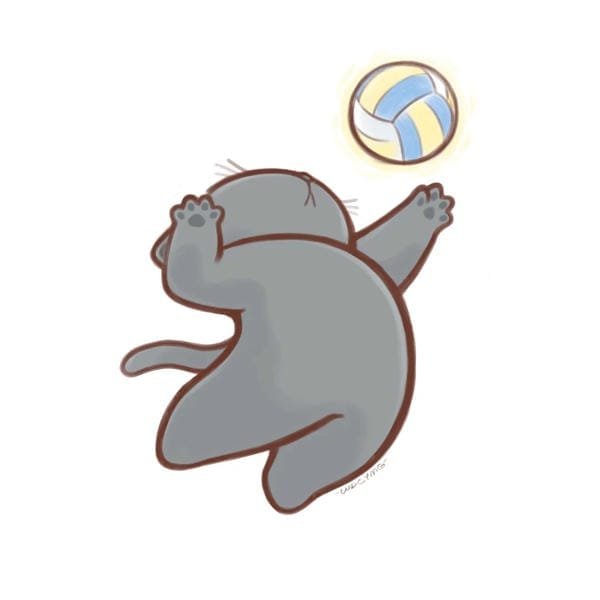 bóng chuyền anime (24)