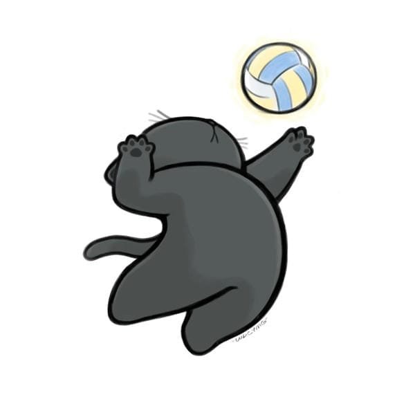 bóng chuyền anime (26)