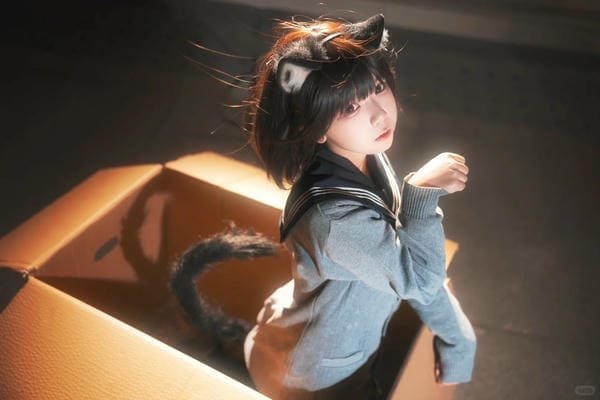 mèo cosplay
