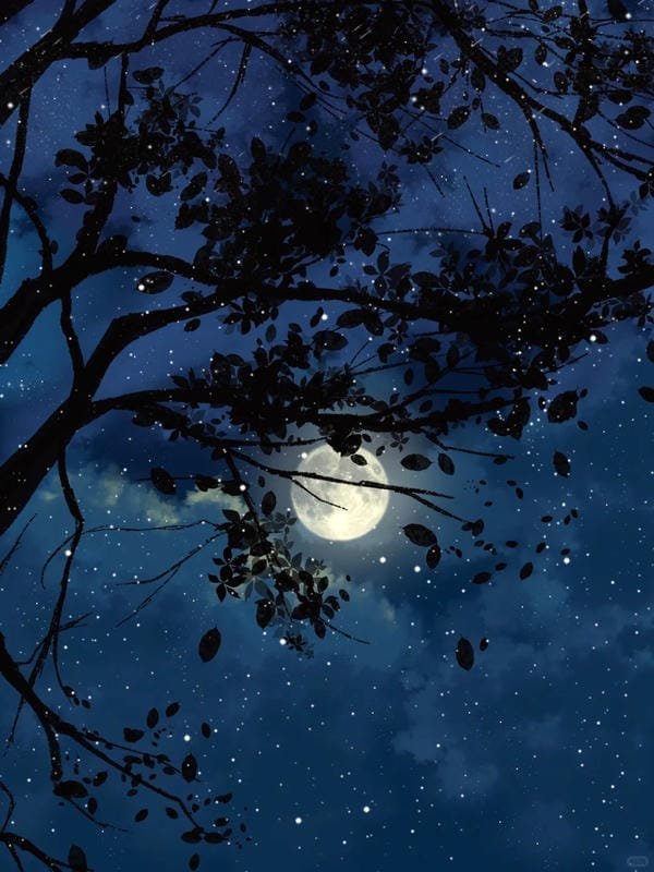 phong cảnh anime đêm (32)