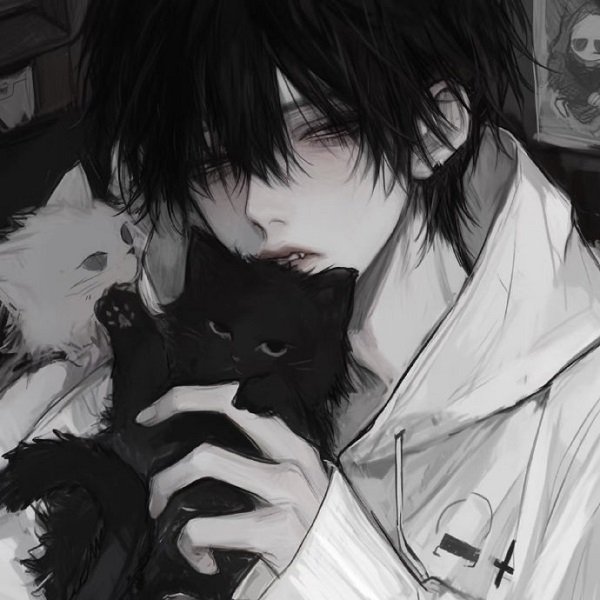avatar anime nam 29