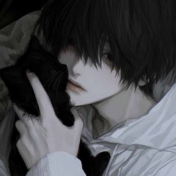 avatar anime nam 30